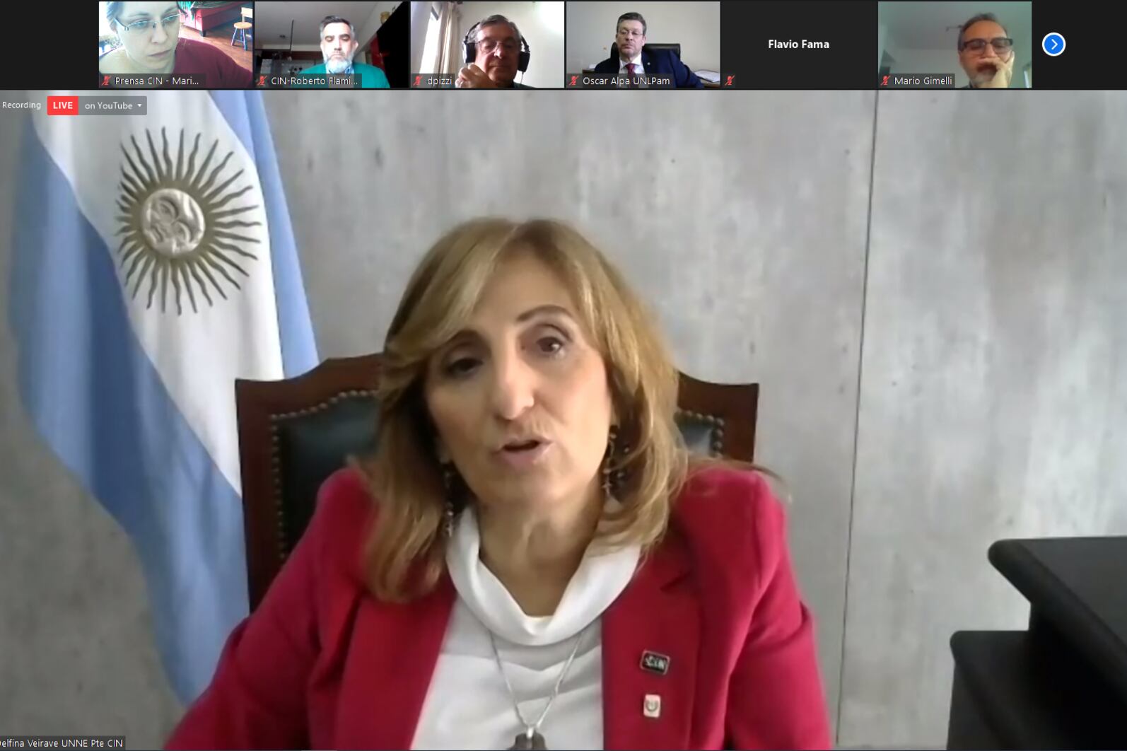 La presidenta del CIN, Delfina Veiravé.