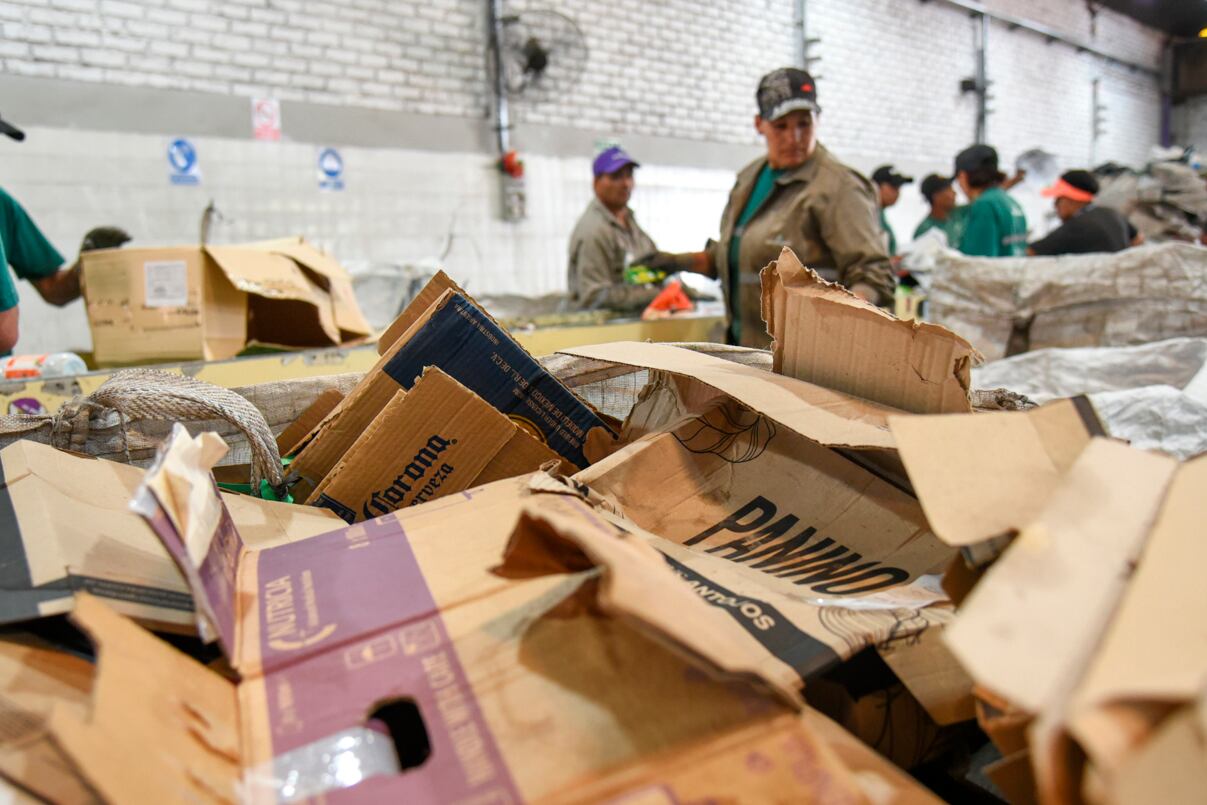 Los trabajadores del cartón resisten, pese a la compleja situación económica.