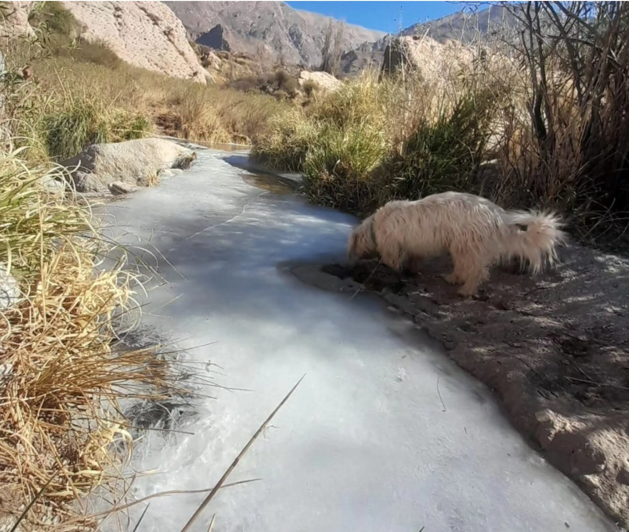 Impactantes imágenes: ríos y arroyos congelados por la ola polar