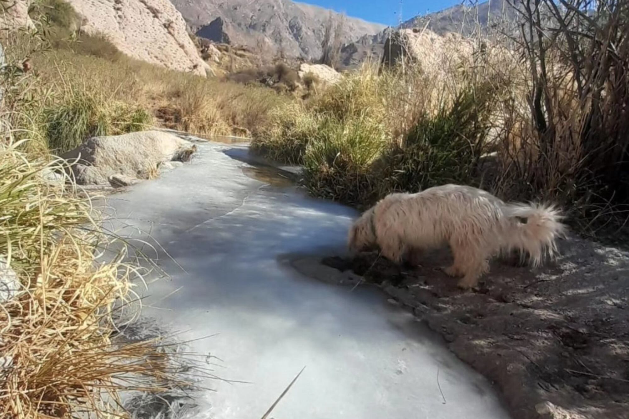 Impactantes imágenes: ríos y arroyos congelados por la ola polar
