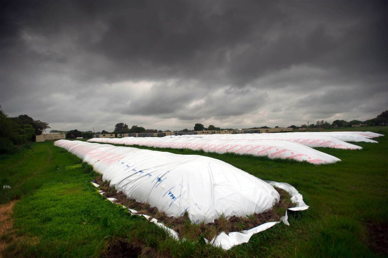 Silobolsas en el centro de las presiones por una devaluación.