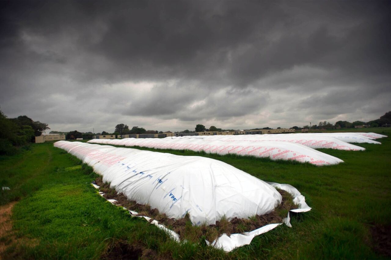 Silobolsas en el centro de las presiones por una devaluación.