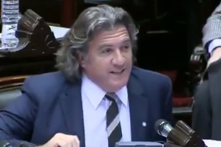 Ramón integra el interbloque de Martín Lousteau en la Cámara Baja.