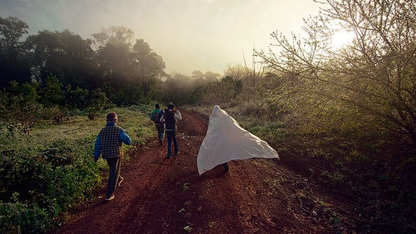 Chicas y chicos suelen comenzar a trabajar para ayudar a sus familias, estableció el estudio.