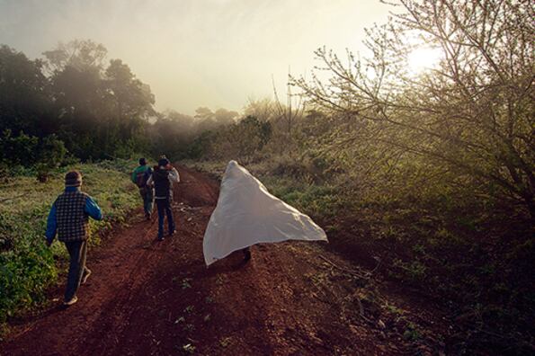 Chicas y chicos suelen comenzar a trabajar para ayudar a sus familias, estableció el estudio.