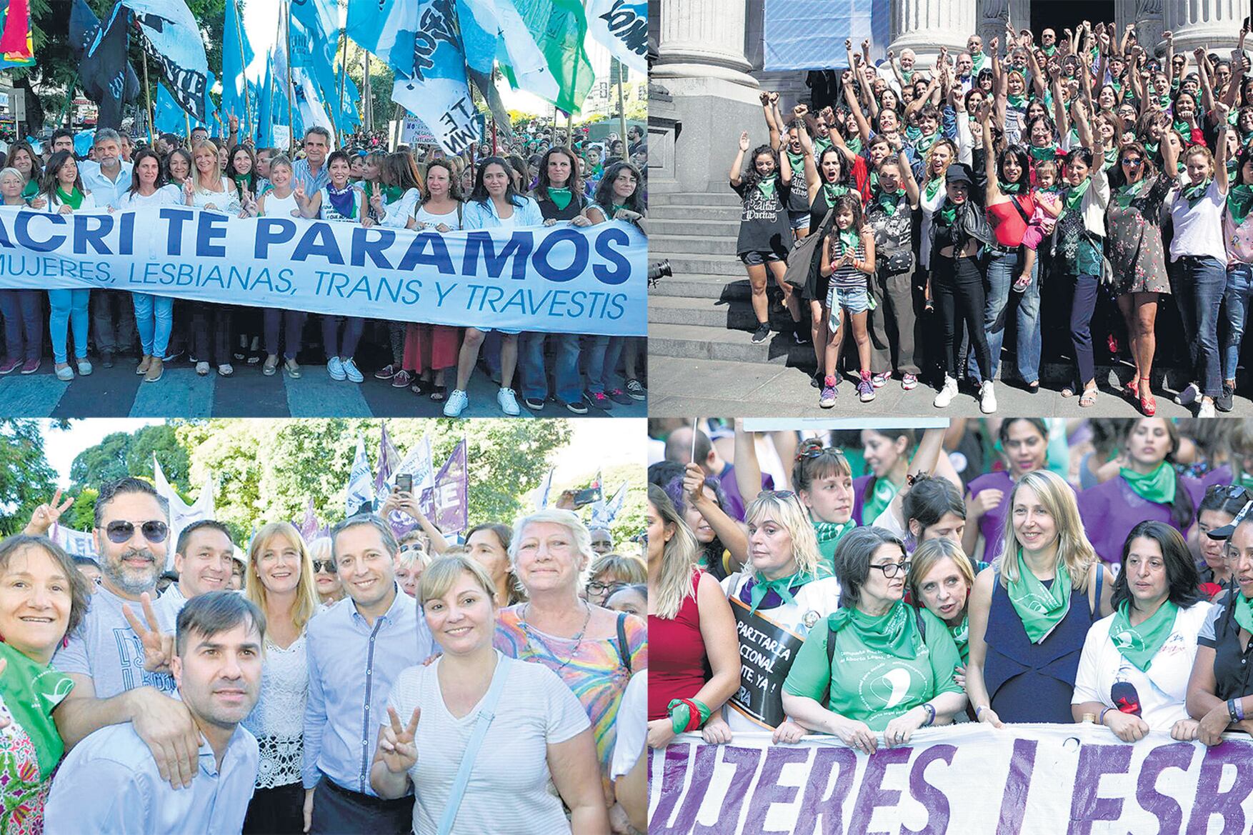Diputados, senadores e intendentes de todos los colores políticos respaldaron el reclamo feminista.