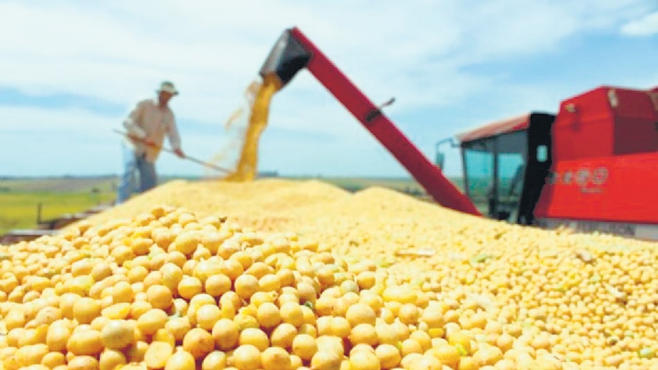 El segundo complejo exportador en orden de importancia en términos de divisas es el cerealero.