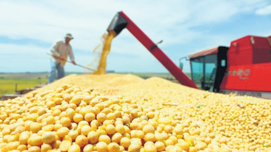 El segundo complejo exportador en orden de importancia en términos de divisas es el cerealero.