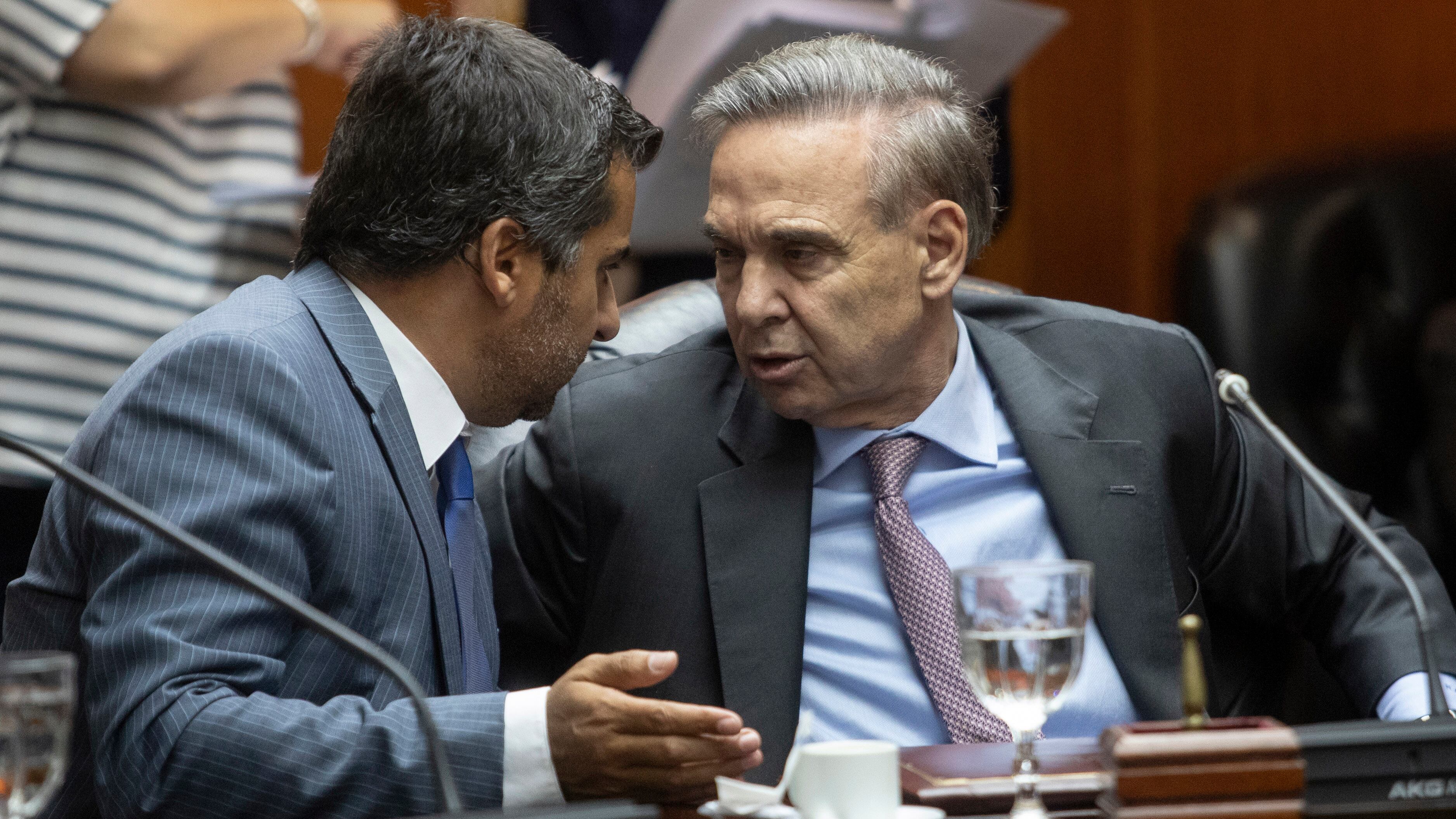 Miguel Pichetto con el consejero Diego Molea, representante del sector académico.