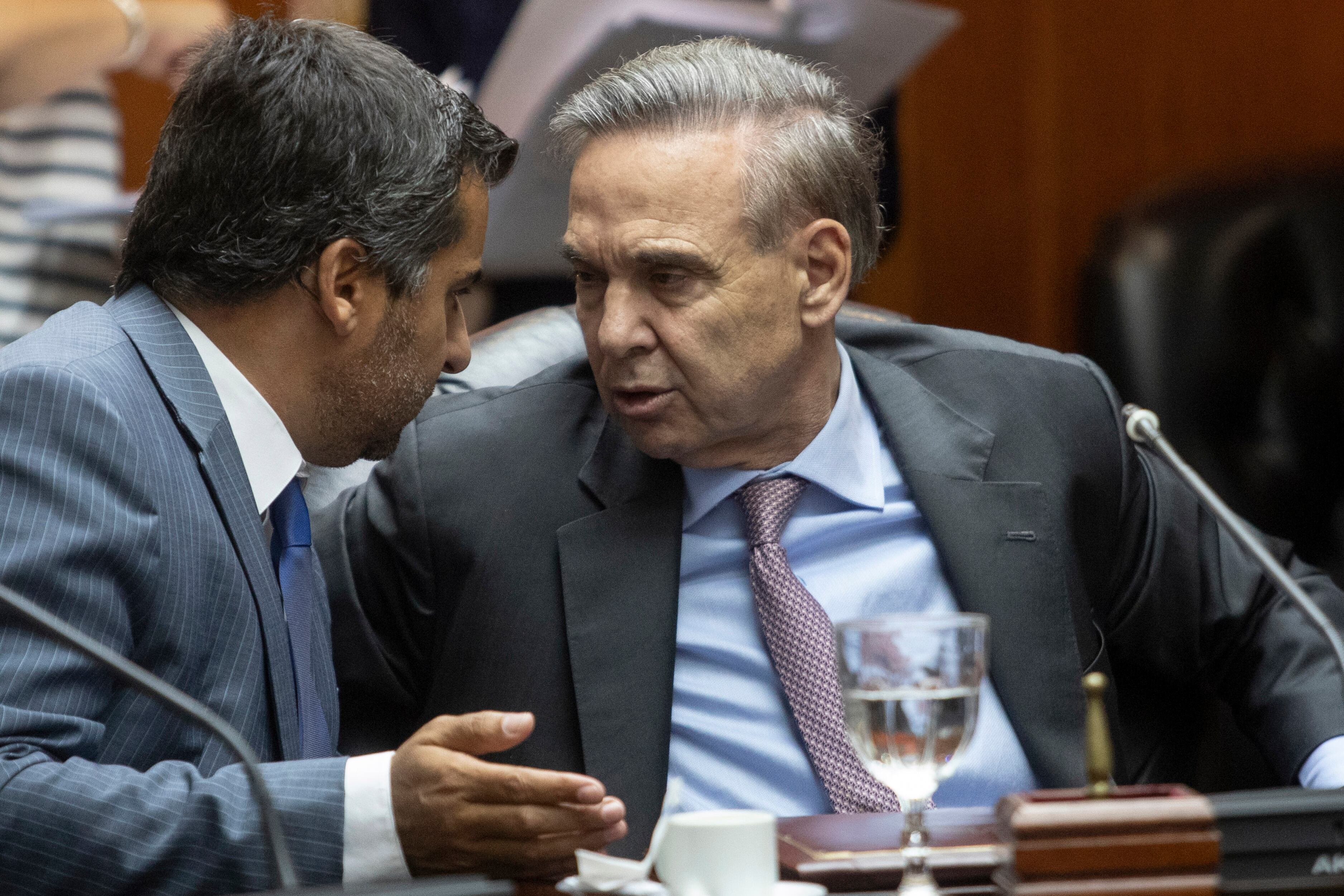 Miguel Pichetto con el consejero Diego Molea, representante del sector académico.