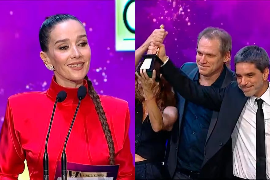 Martin Fierro Cine y Series