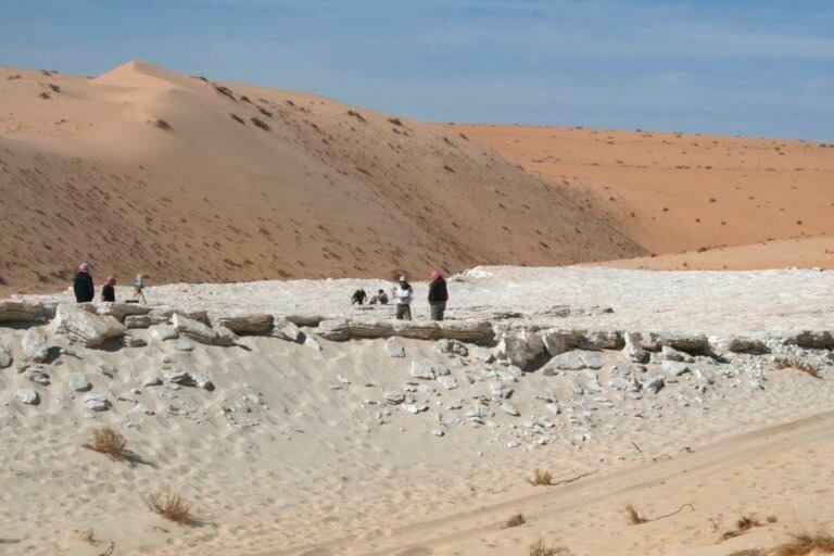 Hace 120.000 años los desiertos del norte de Arabia fueron un lago rodeado de exuberantes praderas que atraían a los animales y las personas.