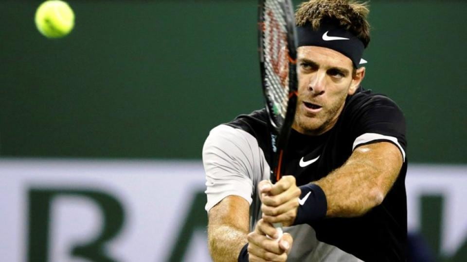 Juan Martín Del Potro