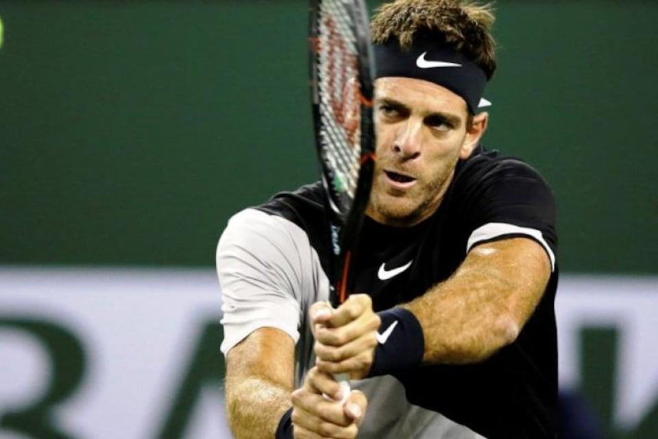 Juan Martín Del Potro