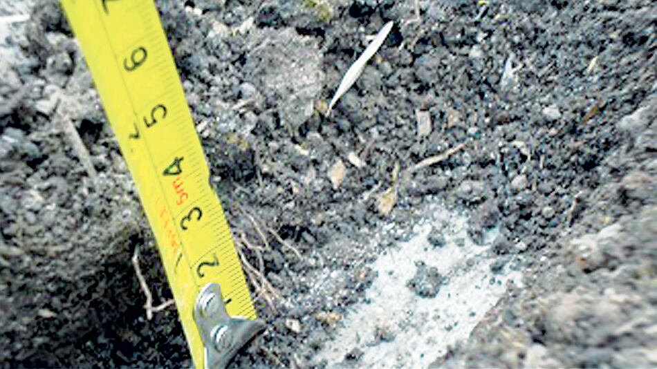 Algún centímetro de tierra por encima de un contrapiso duro.