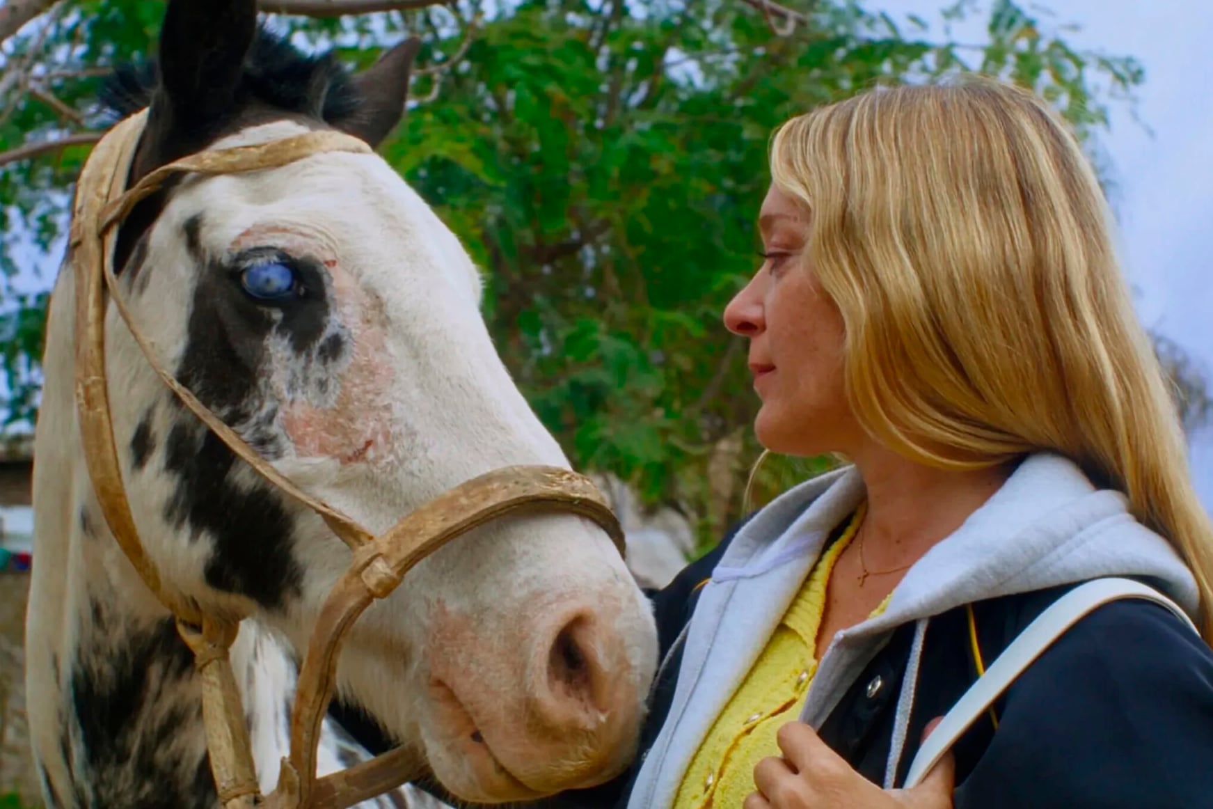 En sus mejores momentos, la película funciona como sátira mordaz