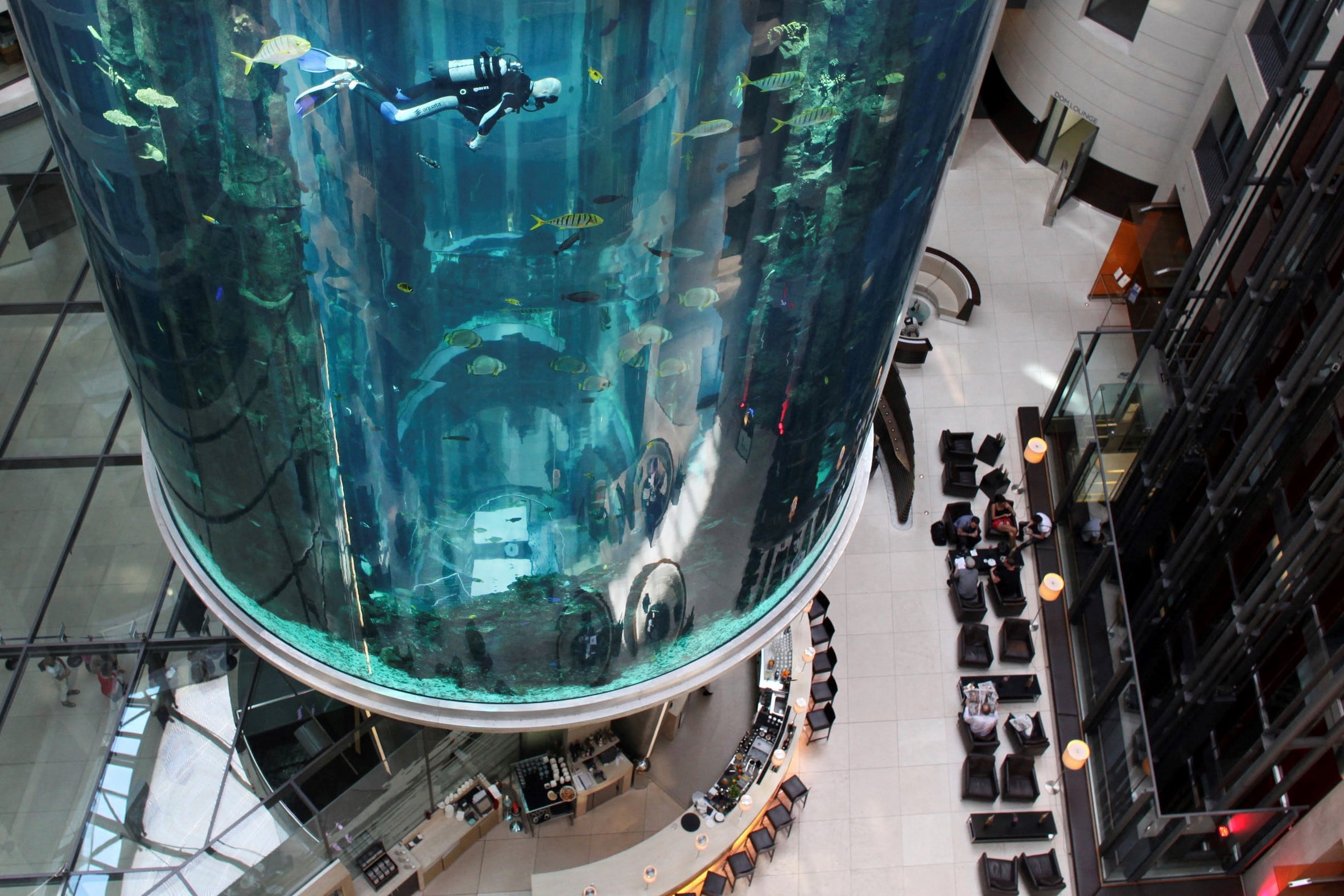 Explotó el acuario cilíndrico más grande del mundo. Imagen: AFP.