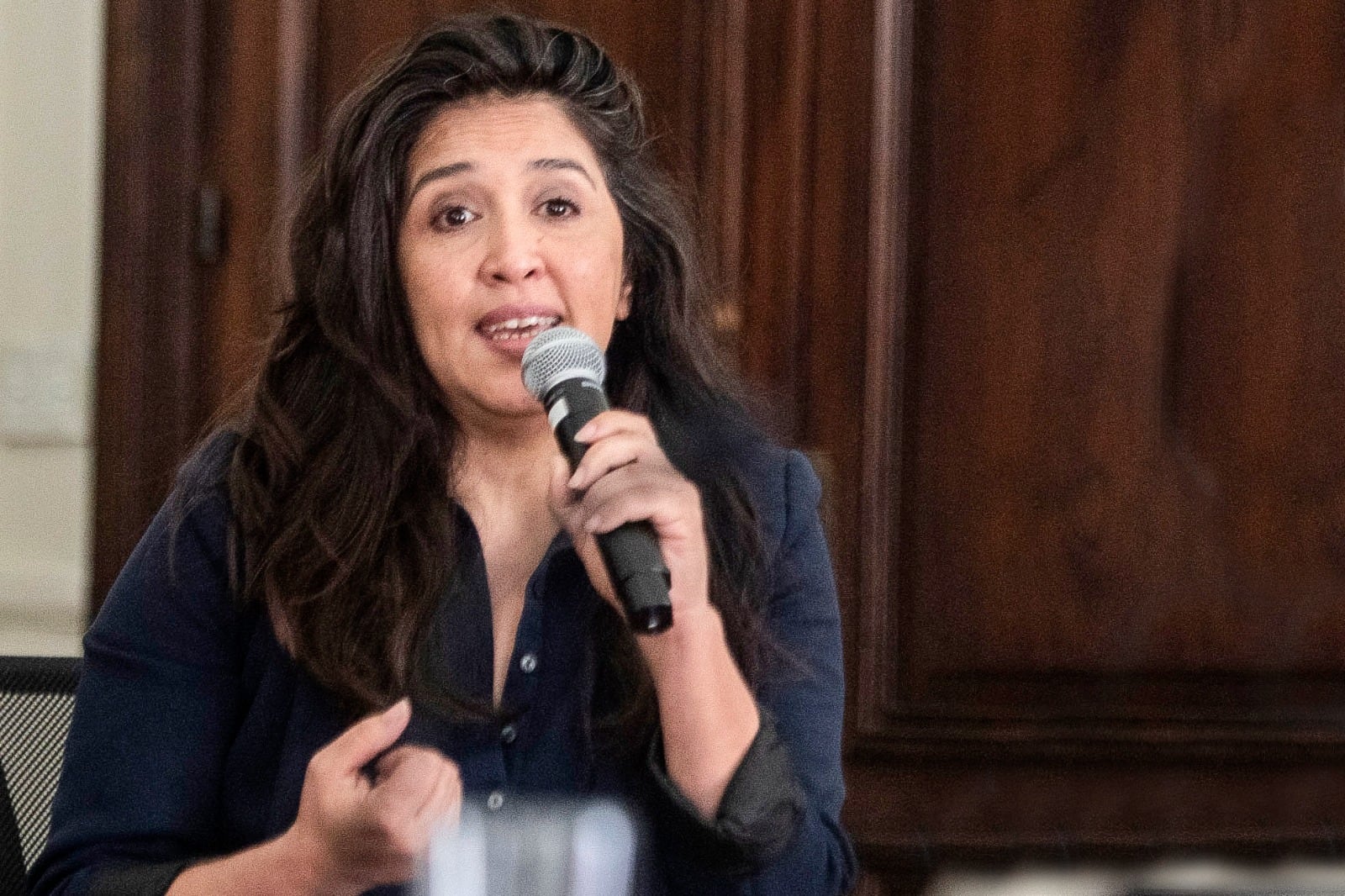 La legisladora criticó las políticas negacionistas del gobierno de Milei.