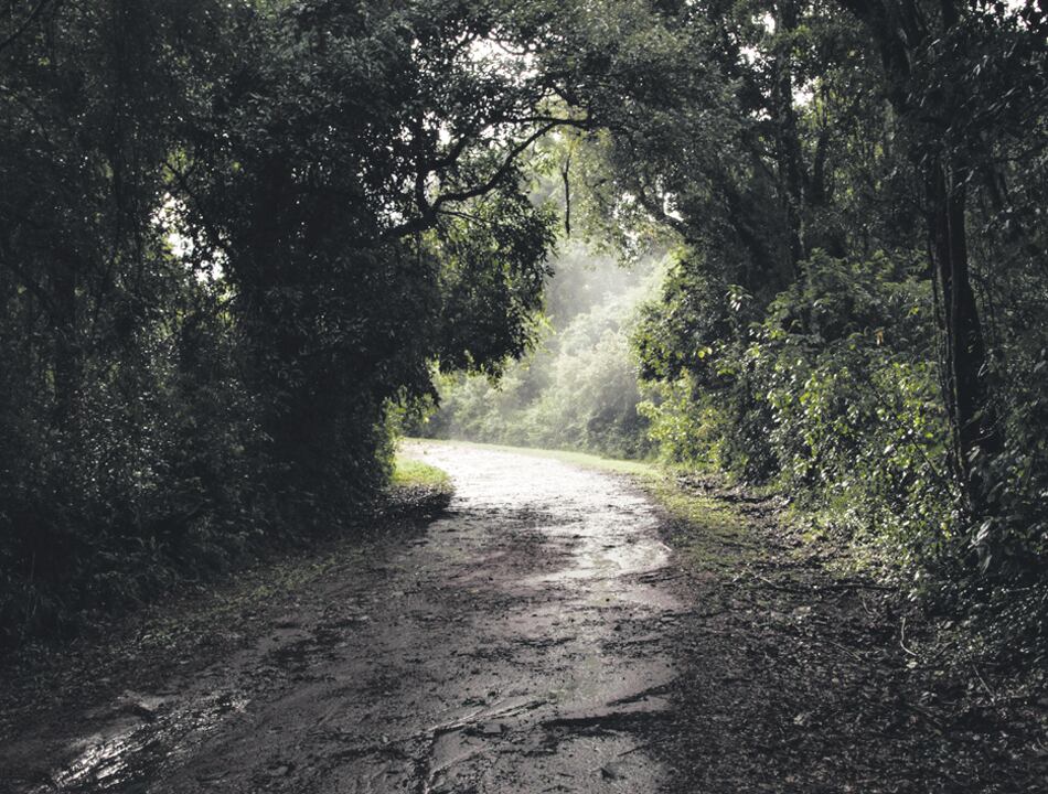 La muestra podrá visitarse desde mañana, durante un mes.