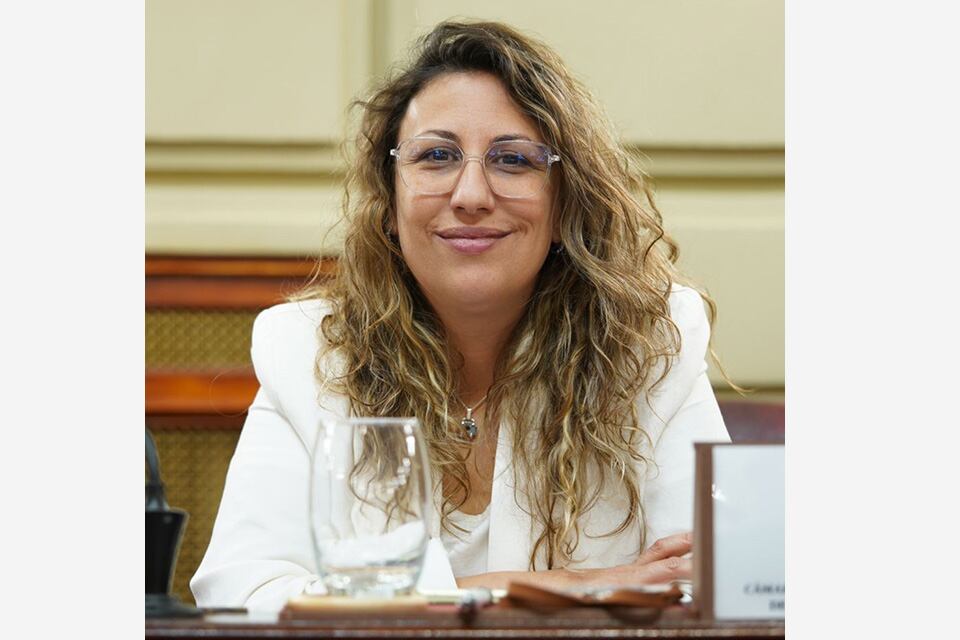Diputada Drisun, una de las autoras de la ley.