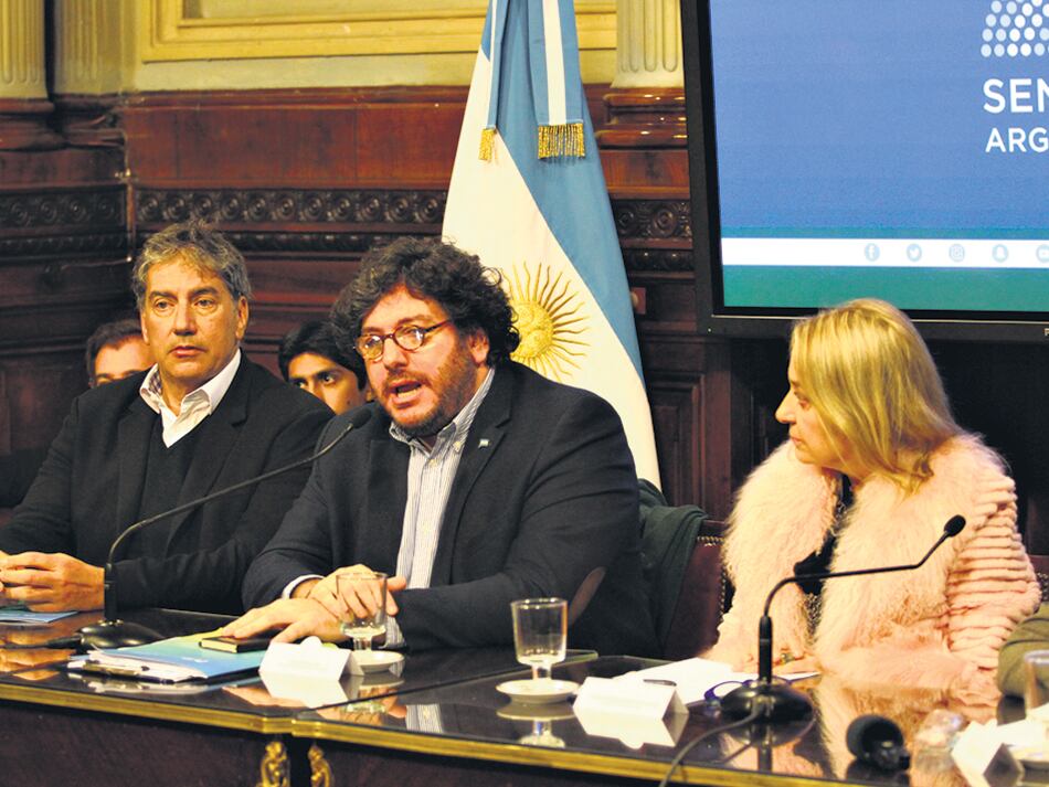 Avelluto fue convocado al Senado por el conflicto en el Incaa.