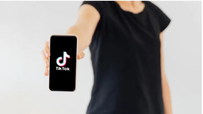 La conquista del terreno de las plataformas explica buena parte de la legitimidad social de Javier Milei.