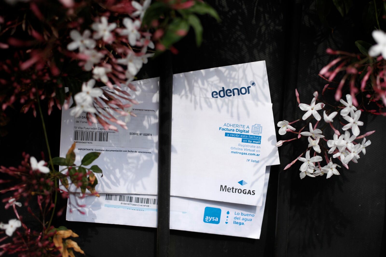 "Llama la atención la falta de una campaña de comunicación", indican entidades.