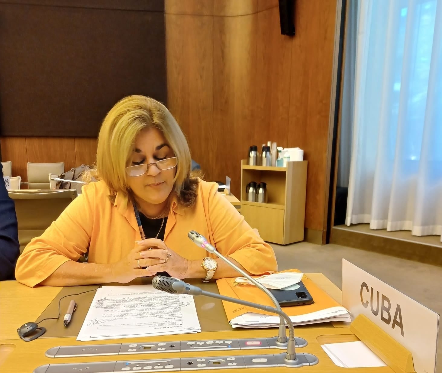  Viceministra primera de Comercio Exterior e Inversión Extranjera de Cuba, Ana Teresita González / Gobierno de Cubea 