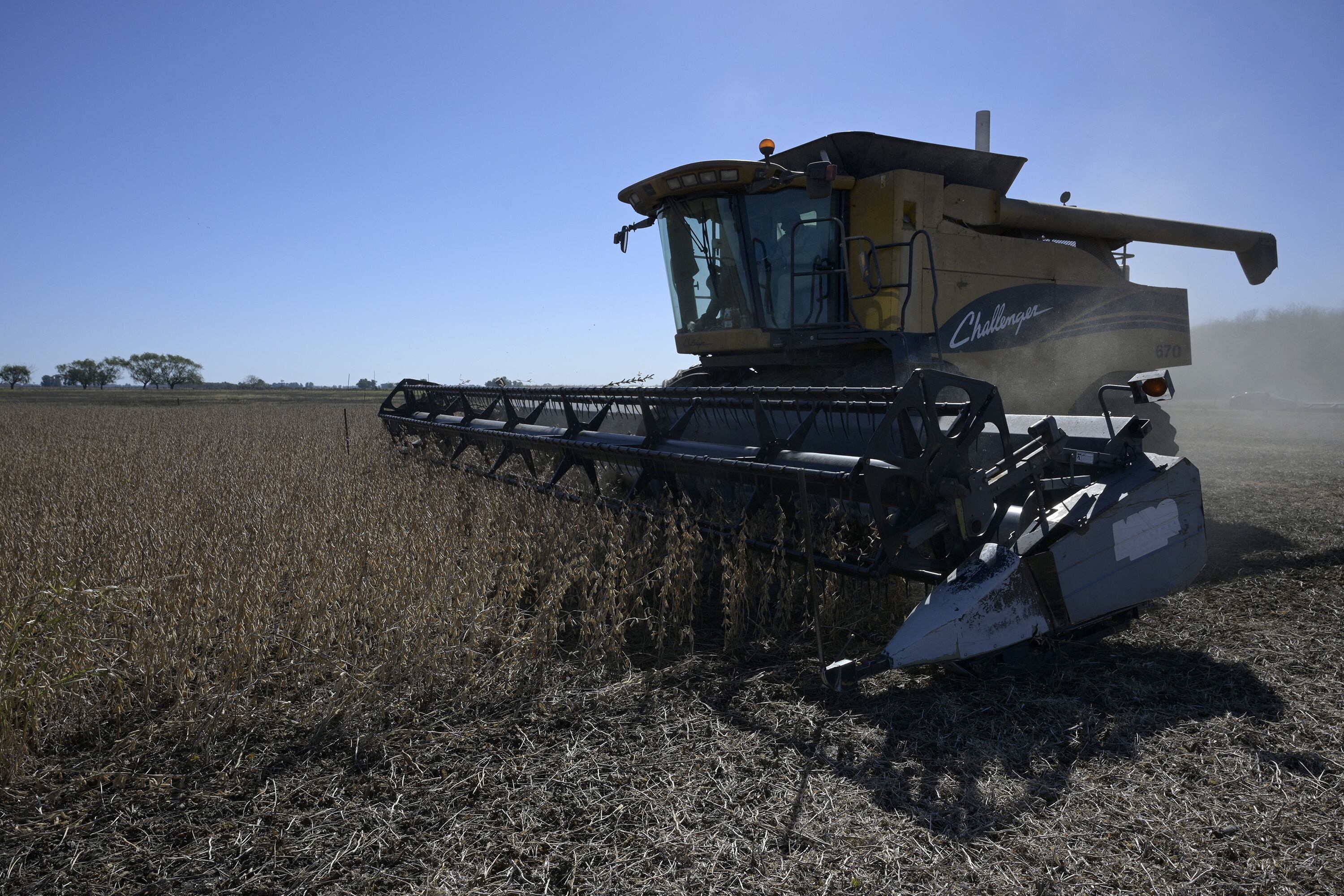Sólo el 8 por ciento de la población argentina vive en zonas rurales.