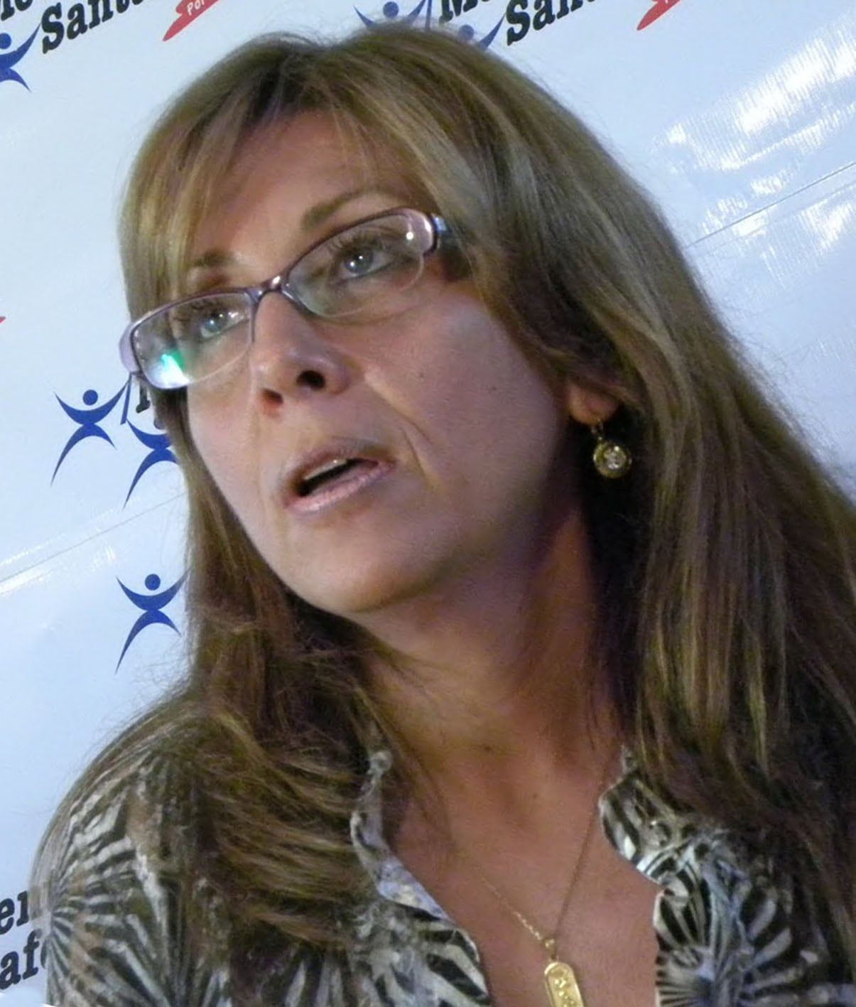 La diputada provincial quiere llegar al Congreso de la Nación.