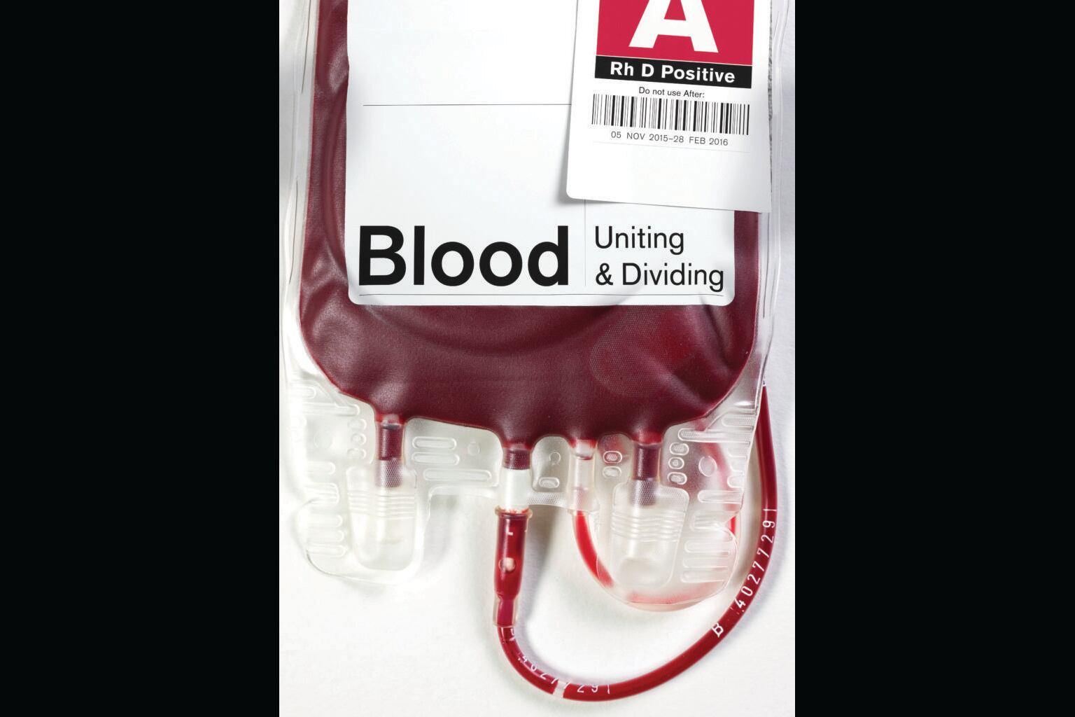 Imagen de la muestra “Blood: Uniting & Dividing” (2015), que tuvo lugar en el Museo Judío de Londres.