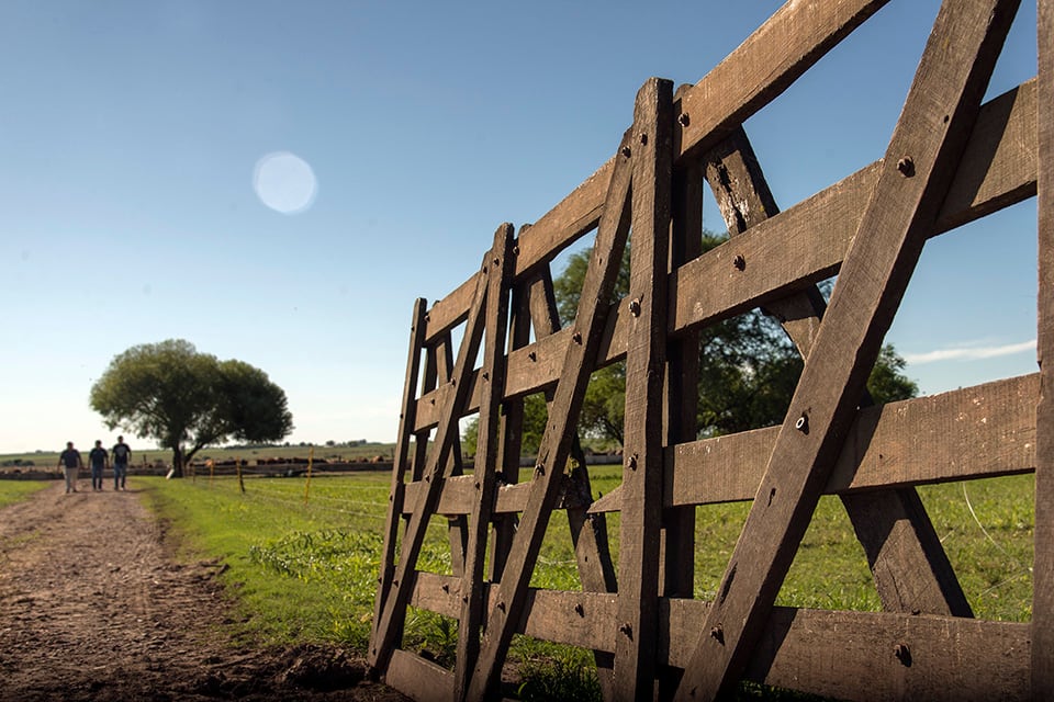Los alquileres se fijan desde los 10 quintales de soja por hectárea.