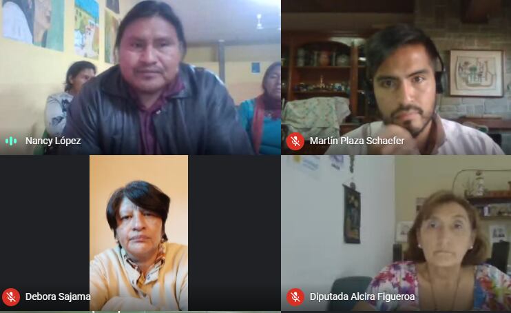 Conferencia virtual