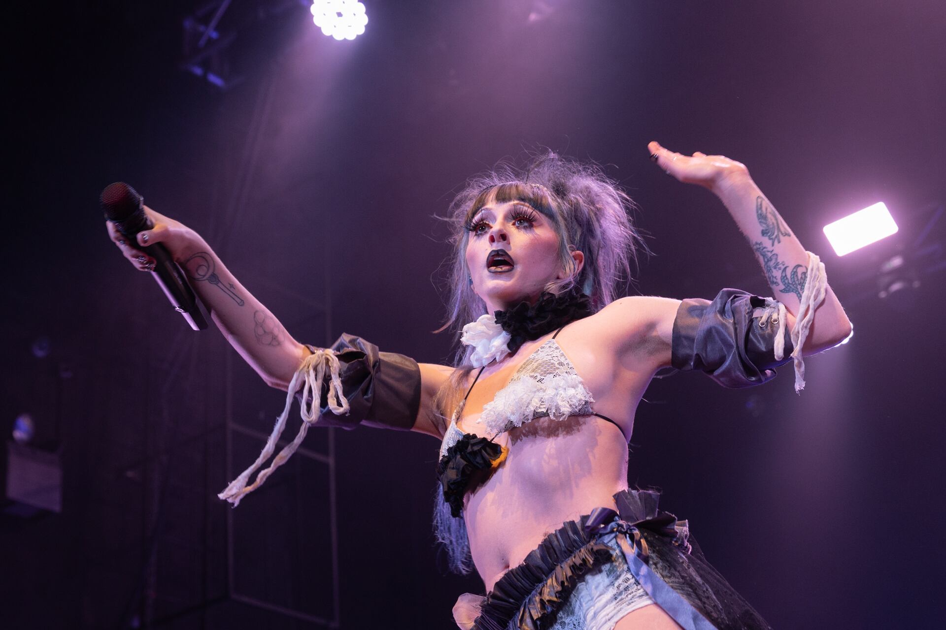 El disco presenta una suerte de princesa robot que intenta sobrellevar el desastre ambiental y la evolución descontrolada de la tecnología