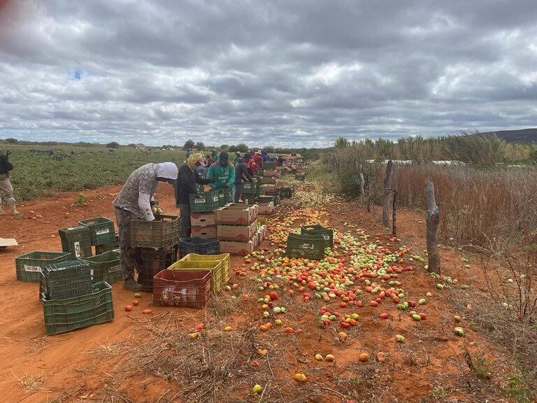 Operación Rescate II / Policía Federal de Brasil