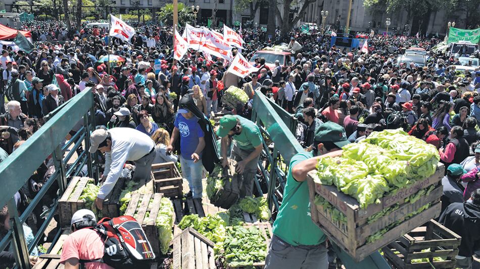 Los productores vendieron frutas y verduras al precio que ellos reciben. Lechuga a siete pesos, apio y cebolla a cuatro, zanahoria a tres.