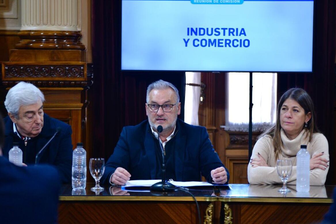 Lewandowski al asumir ayer en la comisión.