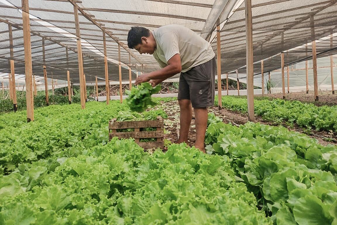 El ajuste fiscal golpeó con especial dureza a los organismos vinculados al agro.