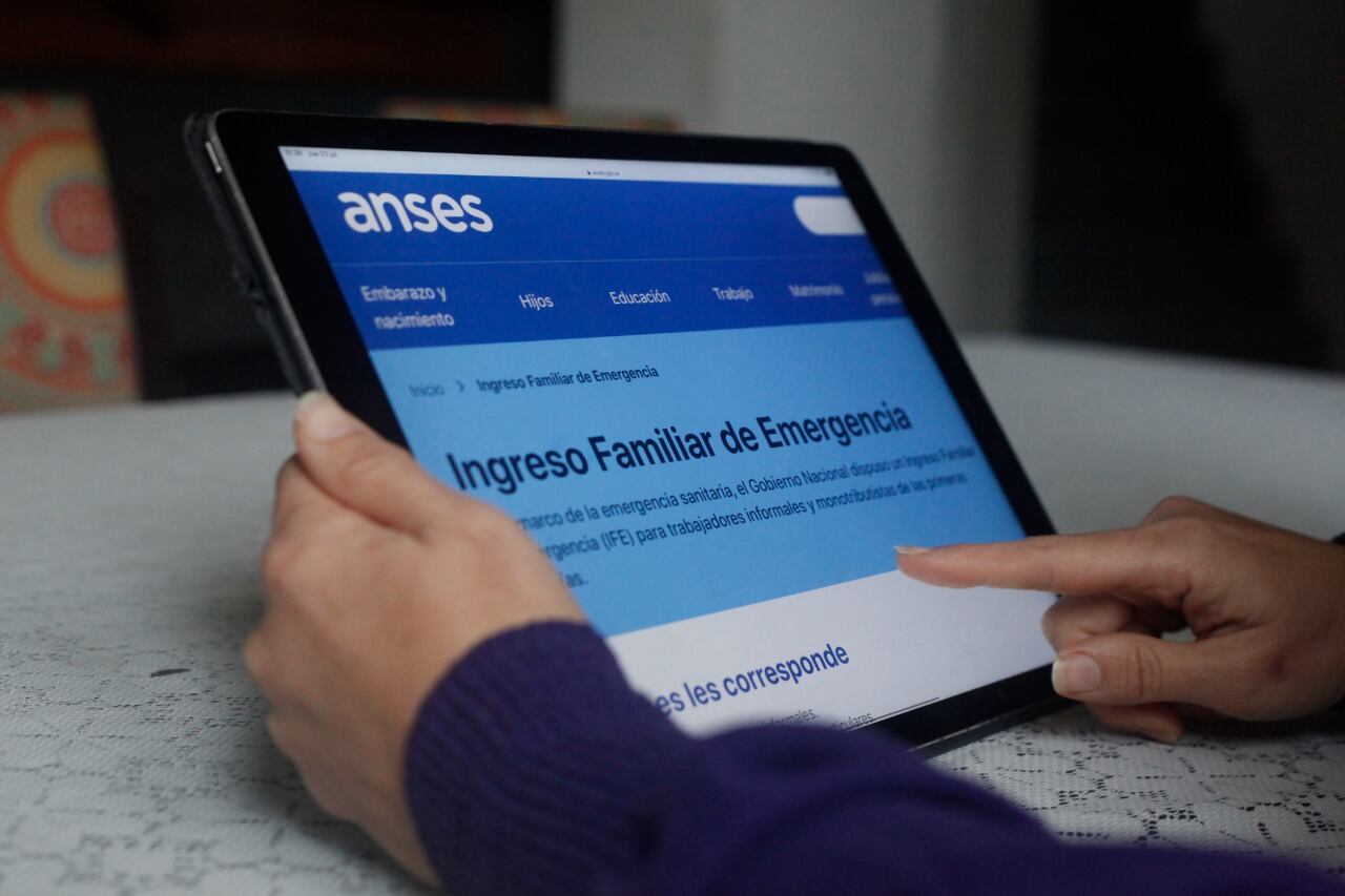 Los datos de la ayuda estatal surgen de un informe del Idaes. 