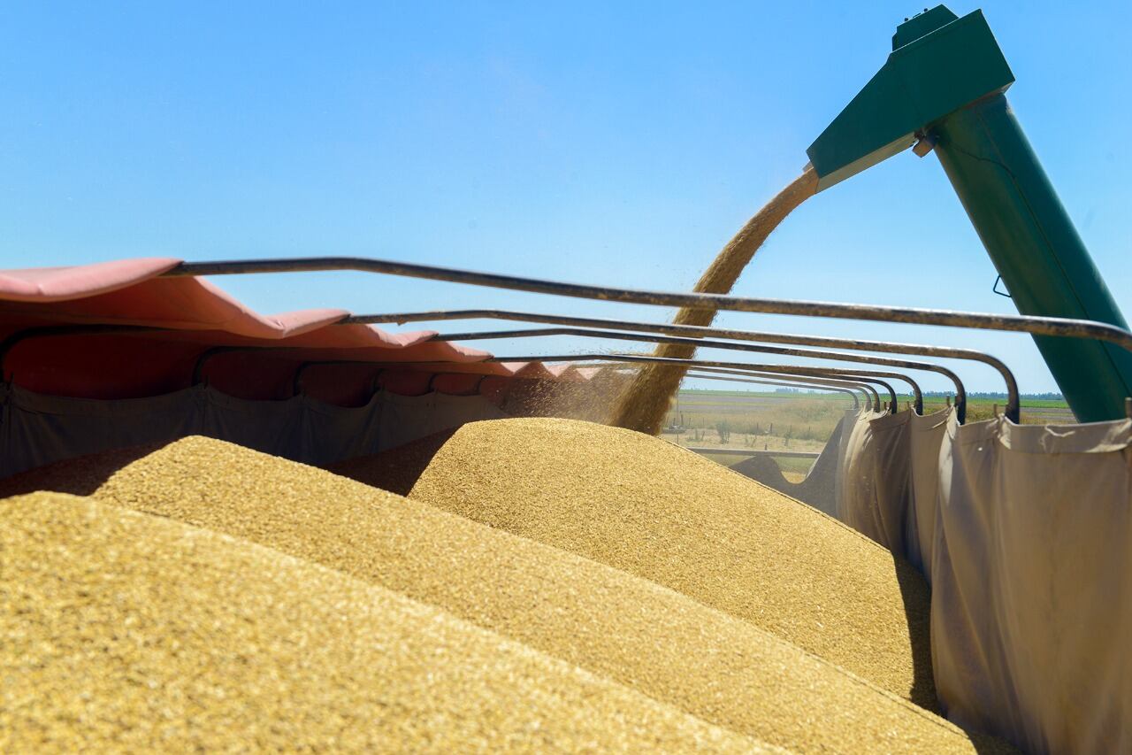 Para la CEPAL el comercio de América latina y el Caribe se recuperó en 2021, aunque su desempeño todavía depende de la evolución de la pandemia.