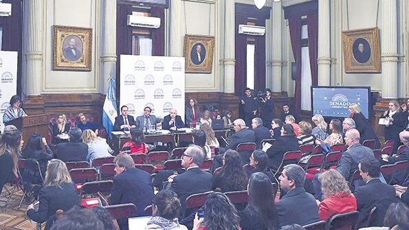 La reunión plenaria tuvo 23 expositores, 12 en contra y 11 a favor del proyecto con media sanción.