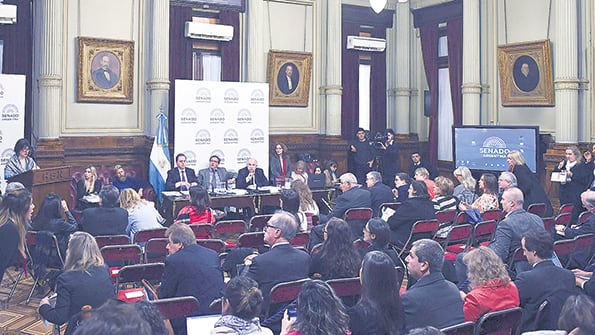 La reunión plenaria tuvo 23 expositores, 12 en contra y 11 a favor del proyecto con media sanción.
