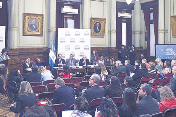 La reunión plenaria tuvo 23 expositores, 12 en contra y 11 a favor del proyecto con media sanción.