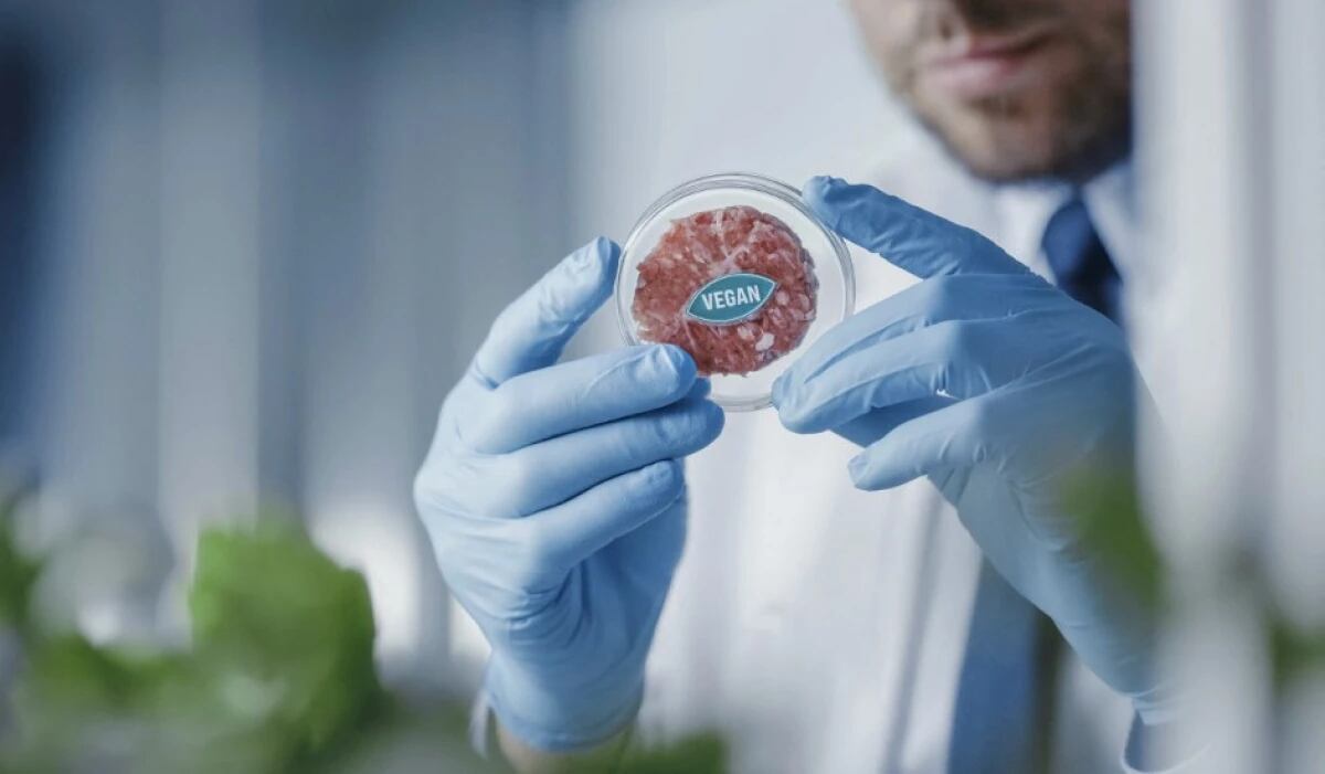 Varias empresas tienen como objetivo producir y comercializar la llamada carne de "laboratorio" o artificial, para permitir que los humanos consuman proteínas animales con un menor impacto en el medio ambiente. (Foto:AFP)