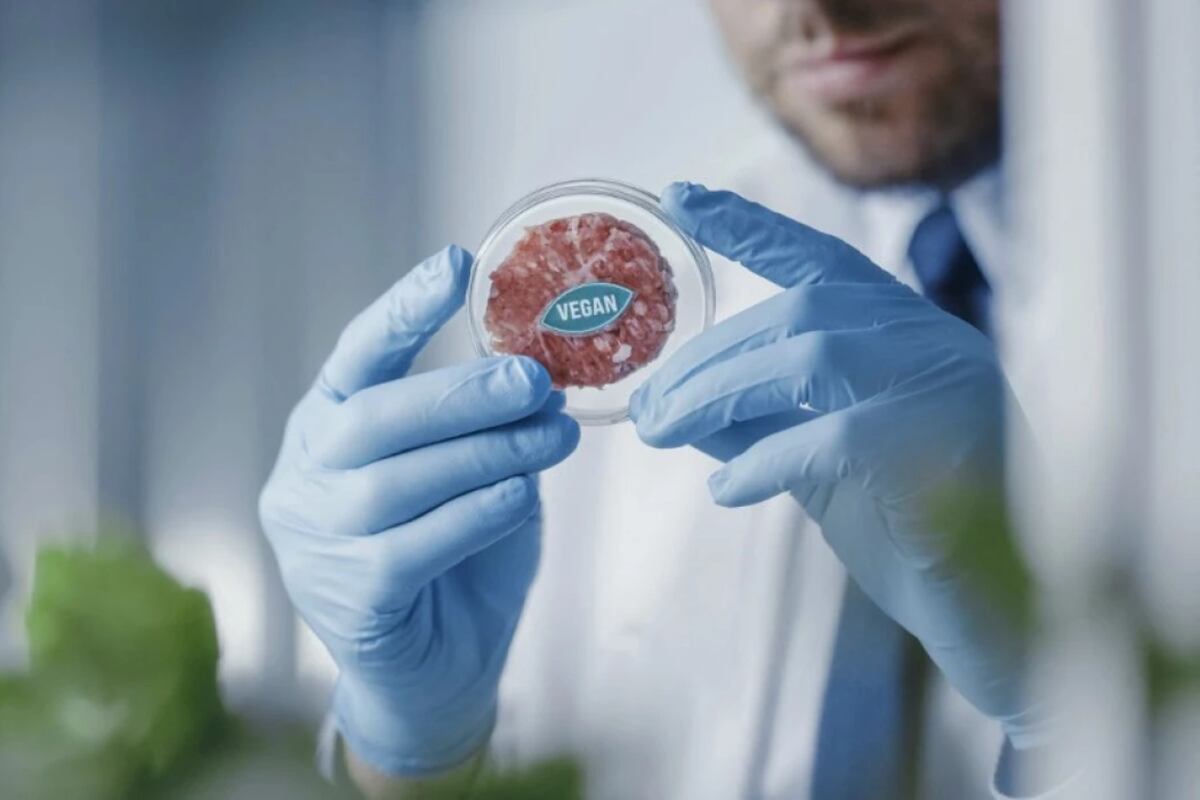 Varias empresas tienen como objetivo producir y comercializar la llamada carne de "laboratorio" o artificial, para permitir que los humanos consuman proteínas animales con un menor impacto en el medio ambiente. (Foto:AFP)