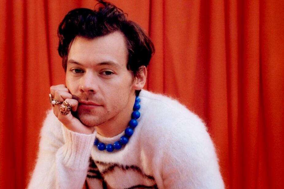 Este curso se dará a partir de 2023, bajo el nombre de "Harry Styles y el culto a la celebridad: identidad, Internet y cultura pop europea". Foto: Harry Styles/Instagram