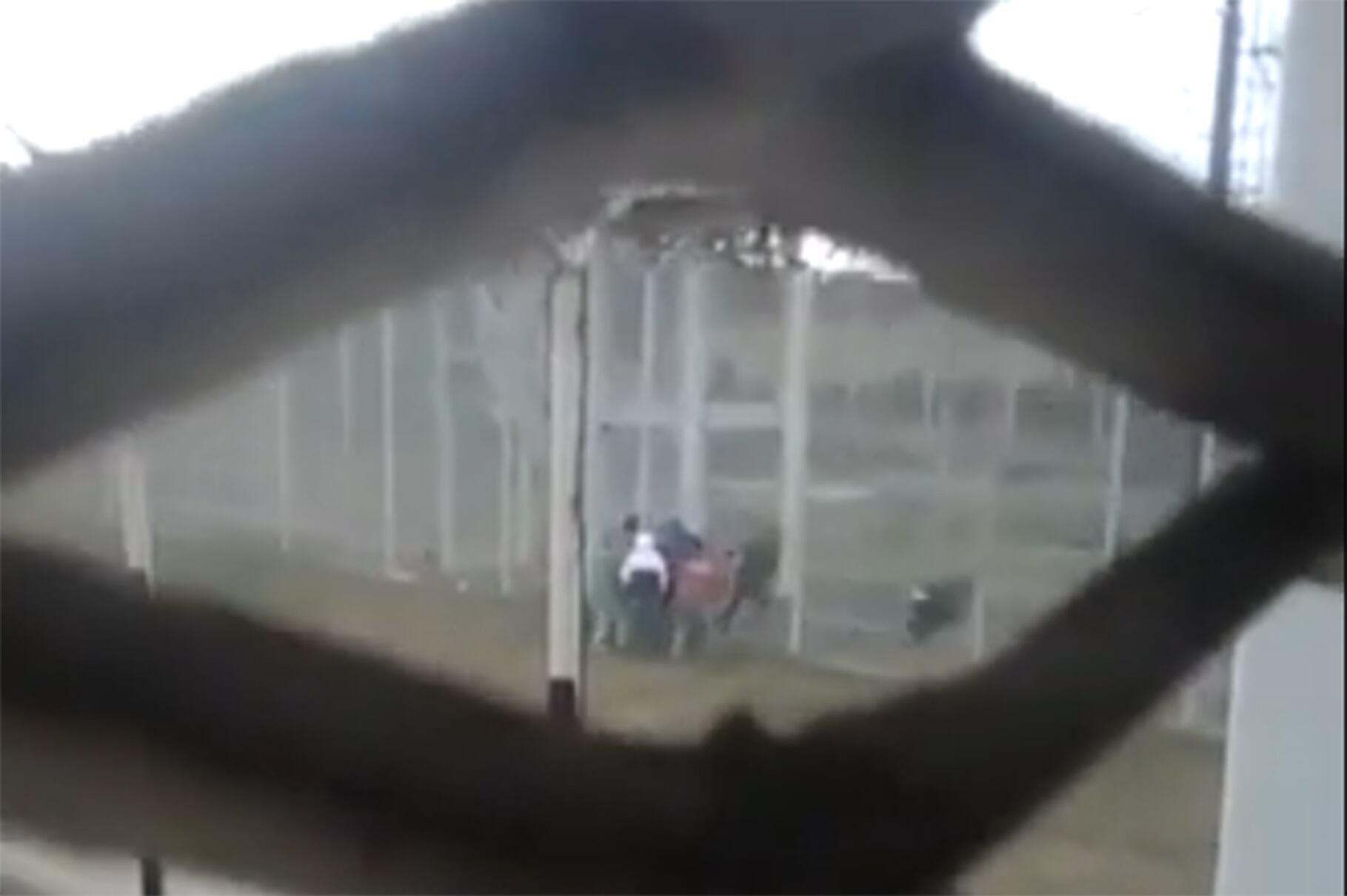 Imagen del momento en que los presos atraviesan el cerco perimetral abierto.