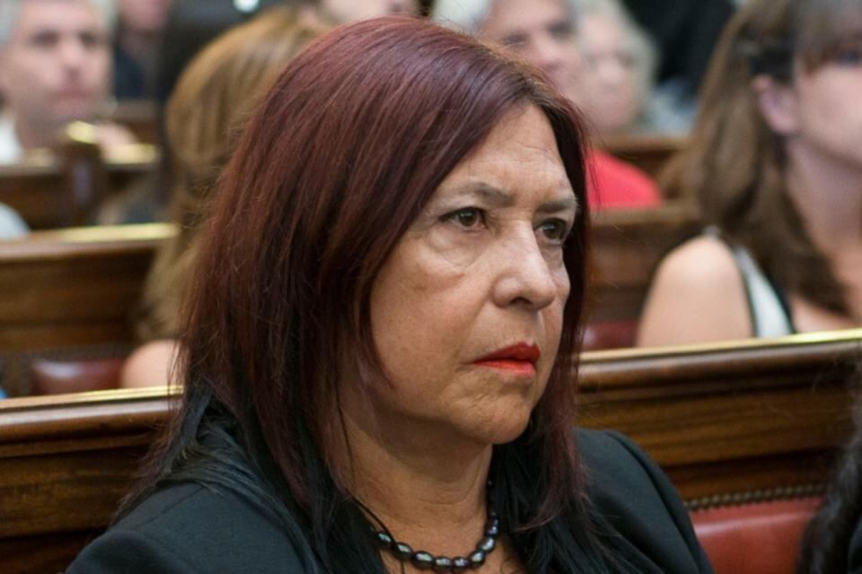 Ana María Figueroa detalló episodios violentos que arrancaron desde 2014, según pudo reconstruir PáginaI12.