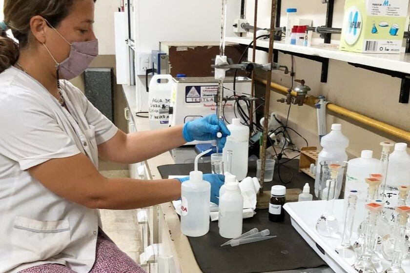 Científicos del Conicet desarrollan un filtro solar con propiedades repelentes y antiinflamatorias. Imagen: Conicet