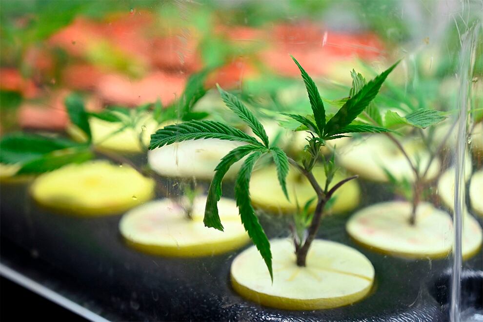 El proyecto, que lleva la firma del gobernador Axel Kicillof, podría ser tratado durante el actual período de sesiones extraordinarias.